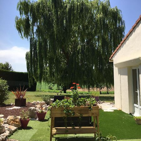 Domaine De La Vigne Bed & Breakfast Cadalen Luaran gambar