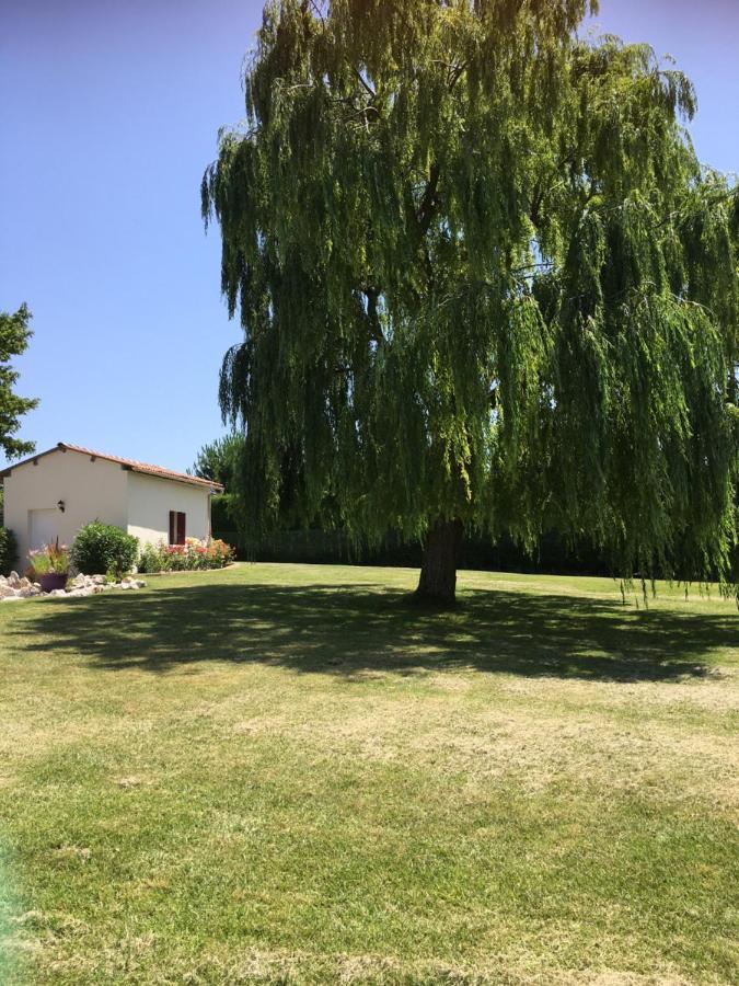 Domaine De La Vigne Bed & Breakfast Cadalen Luaran gambar