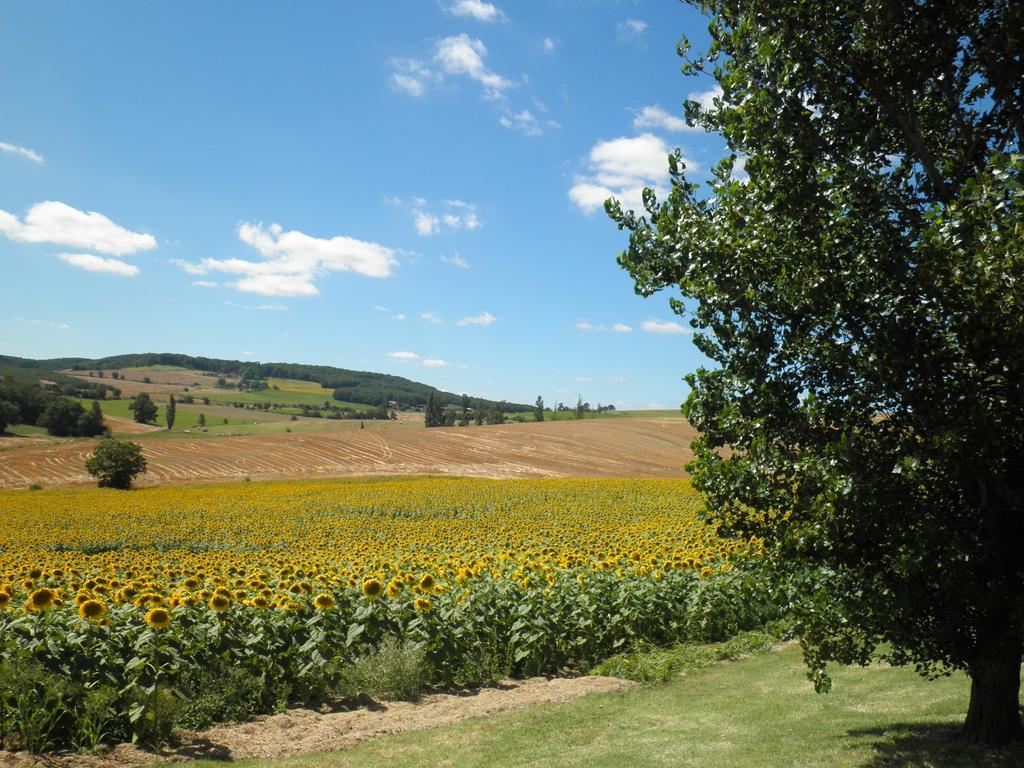 Domaine De La Vigne Bed & Breakfast Cadalen Luaran gambar
